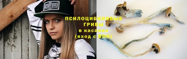 прущие грибы Баксан