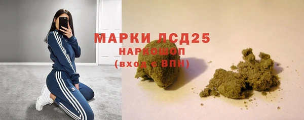 прущие грибы Баксан
