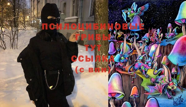 ПСИЛОЦИБИНОВЫЕ ГРИБЫ Балабаново
