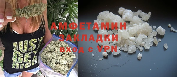 прущие грибы Баксан