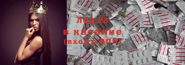 ПСИЛОЦИБИНОВЫЕ ГРИБЫ Балабаново