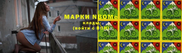 прущие грибы Баксан