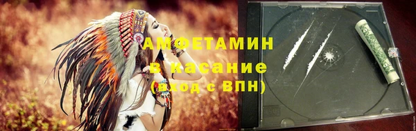 прущие грибы Баксан