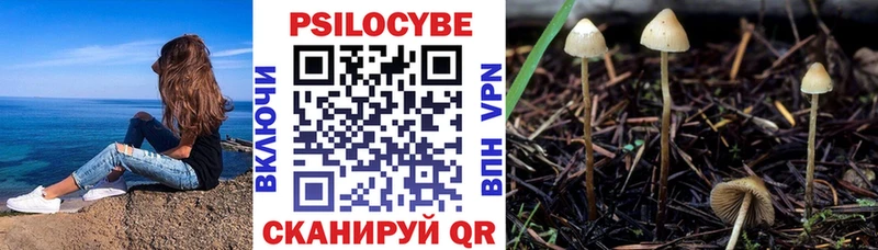 Псилоцибиновые грибы Psilocybine cubensis  кракен вход  Дальнегорск 